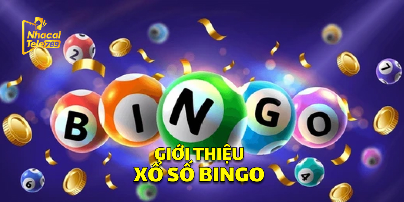 Giới Thiệu Xổ Số Bingo 